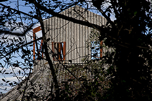 Derelict