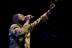 The Wailers